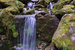 Small waterfall in Rees Valley