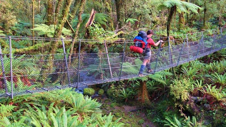 Swing bridge in rain forest
