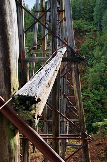 Beams of Percy Burn Viaduct