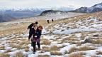 Crossing tussock and snow