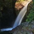 Lower part of Sharplin Falls