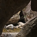 Rock window at Morgan Stream water caves
