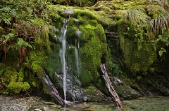 Small mossy waterfall