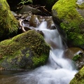 Little stream and mossy rocks