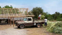 Building roof from palm leaves