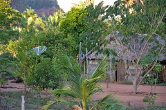 Palm leaves hut with satellite dish