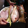Fresh seafood