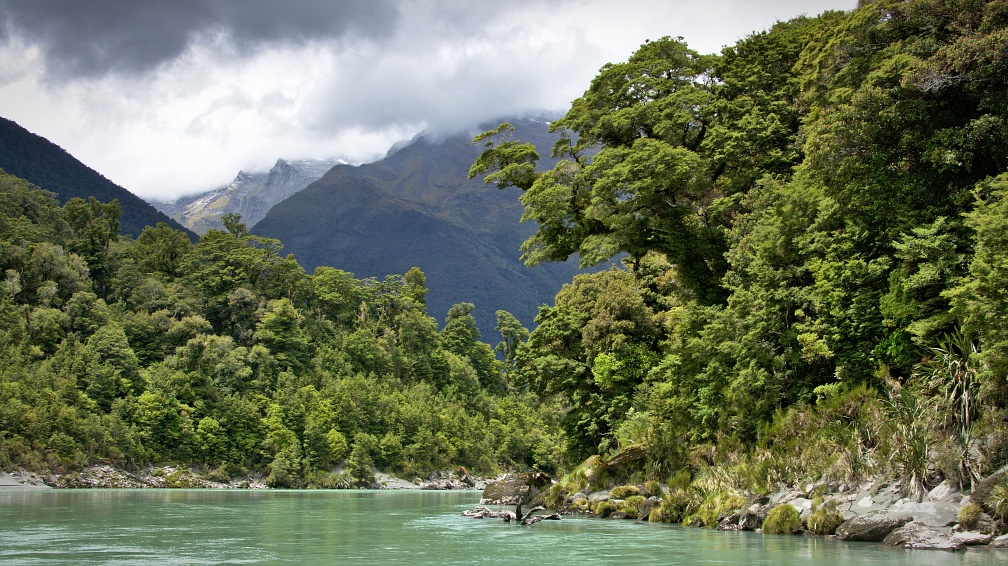 Forest and mountains at Waiatoto River