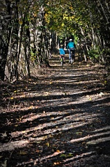 Cyclists in Hanmer Heritage Forest