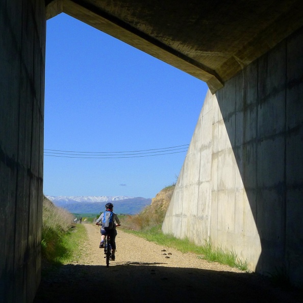 Cyclist under a bridge