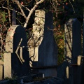 Old tombstones and red rosehips