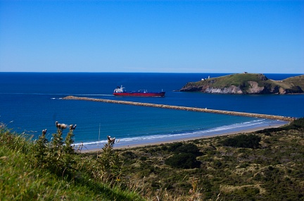 Cargo ship entering Otago Harbour