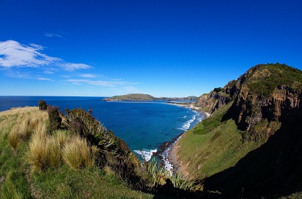 Otago coastline, view from Heyward Pt