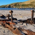 Remnants of wooden structure from Aramoana mole