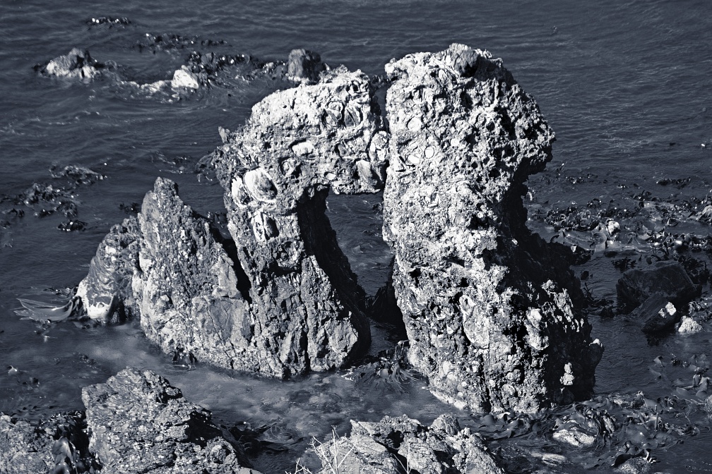 Coastal rock formations in Karitane