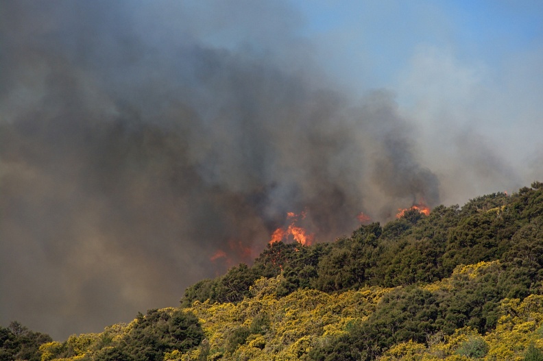 Bush fire above Outram Glen
