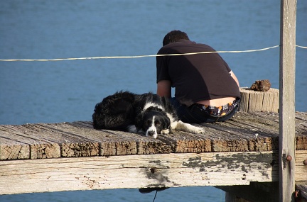Fisherman and dog on a jetty