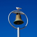 Shark bell on St Clair beach