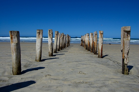 Poles on St Clair beach