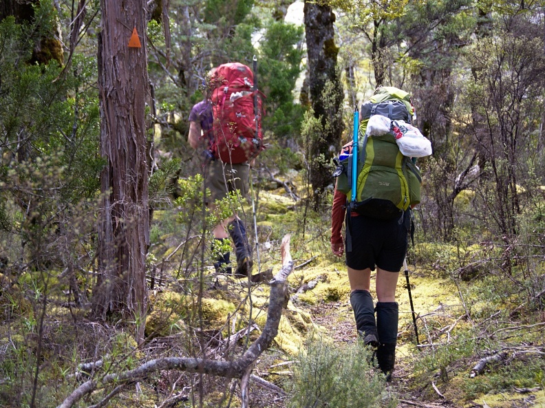 Tramping along marked track