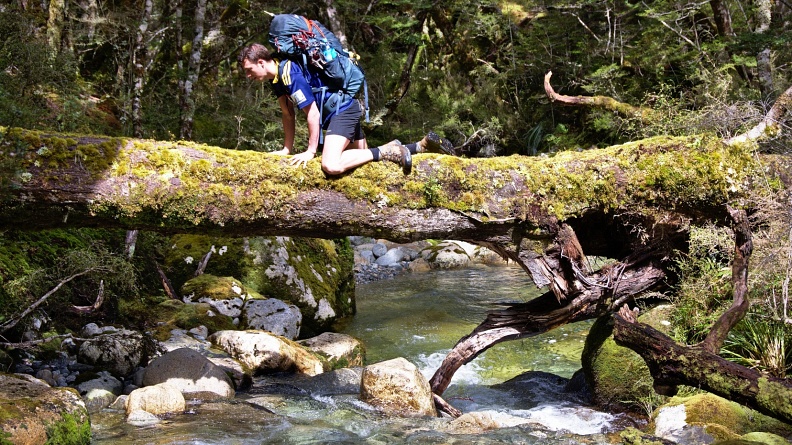 Different technique of crossing on tree trunk