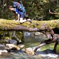 Different technique of crossing on tree trunk