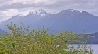 Spring vegetation in Manapouri and weather coming over the mount