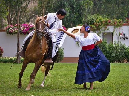 Marinera dance with Peruvian Paso horse