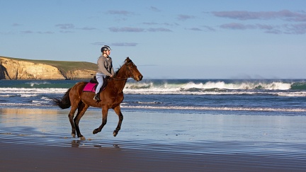 Horse rider on Waikouaiti Beach