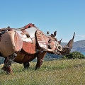 Rhinoceros sculpture on Takamatua Hill