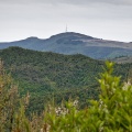 Mount Cargill