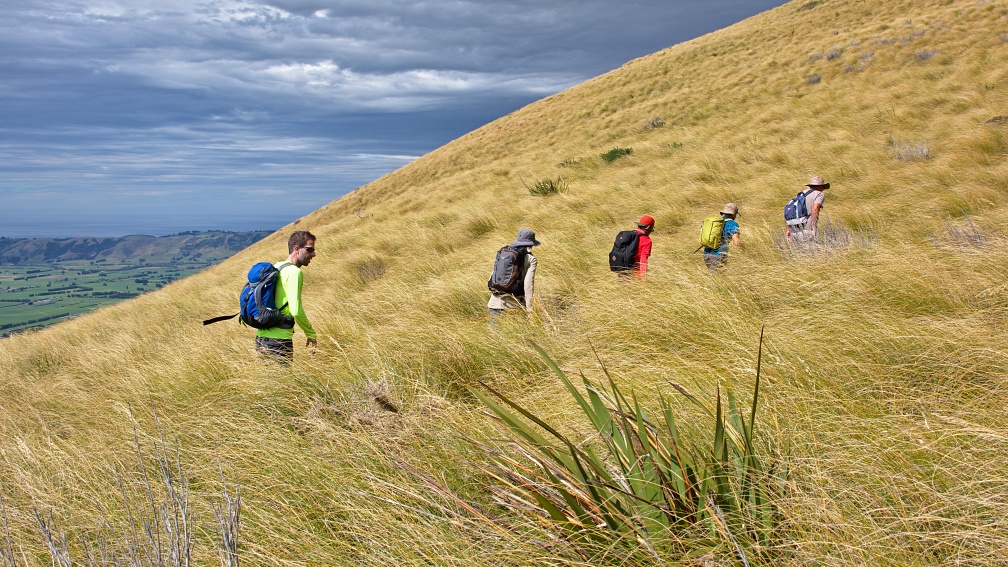 Trampers in golden tussock above Taieri Plains