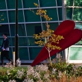 Bud, sculpture by Philippa Wilson, and Centre for Innovation