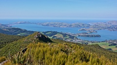 Otago Peninsula from Mount Cargill lookout