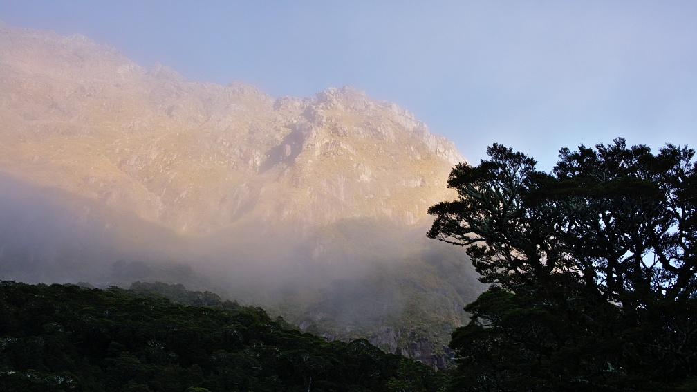 Mountain face through light fog and beech forest silhouette