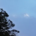 Sunlit snowy mountain peak through fog and beech tree silhouette
