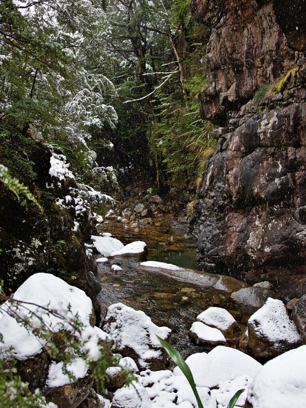 Trifalls Stream gorge