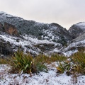 Morgan Stream valley with snow