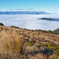 Above bushline and above sea of clouds