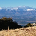 Tussock, beech forest, and Takitimu Mountains
