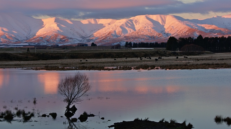 Snowy Kakanui Mountains, farmland and pond in evening sunlight