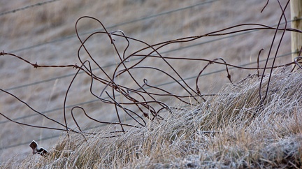 Discarded rusty fence wire and barbed wire