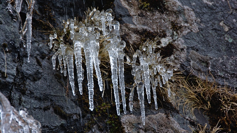 Icicles and dripping water