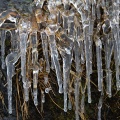 Icicles and grass