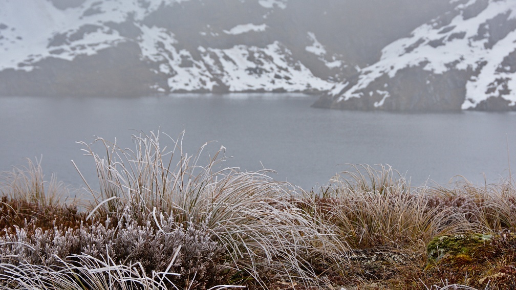 Frozen tussock and Lake Harris