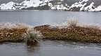 Ice on a tarn by Lake Harris