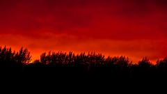 Red hot sunrise on Canterbury Plains