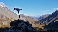 Animal scull above Upper Cameron Valley