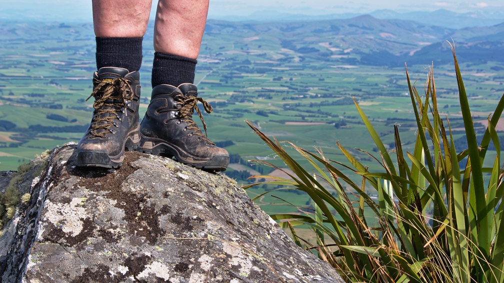 Tramping boots and flax at point 893 metres