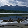 Driftwood in the lake and Princess Mountains